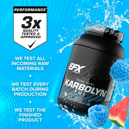 EFX Sports Karbolyn Fuel | Fast-Absorbing Carbohydrate Powder | Carb Load, Sustained Energy, Quick Recovery | Stimulant Free | 39 Servings (Neutral) Nirvana Guru