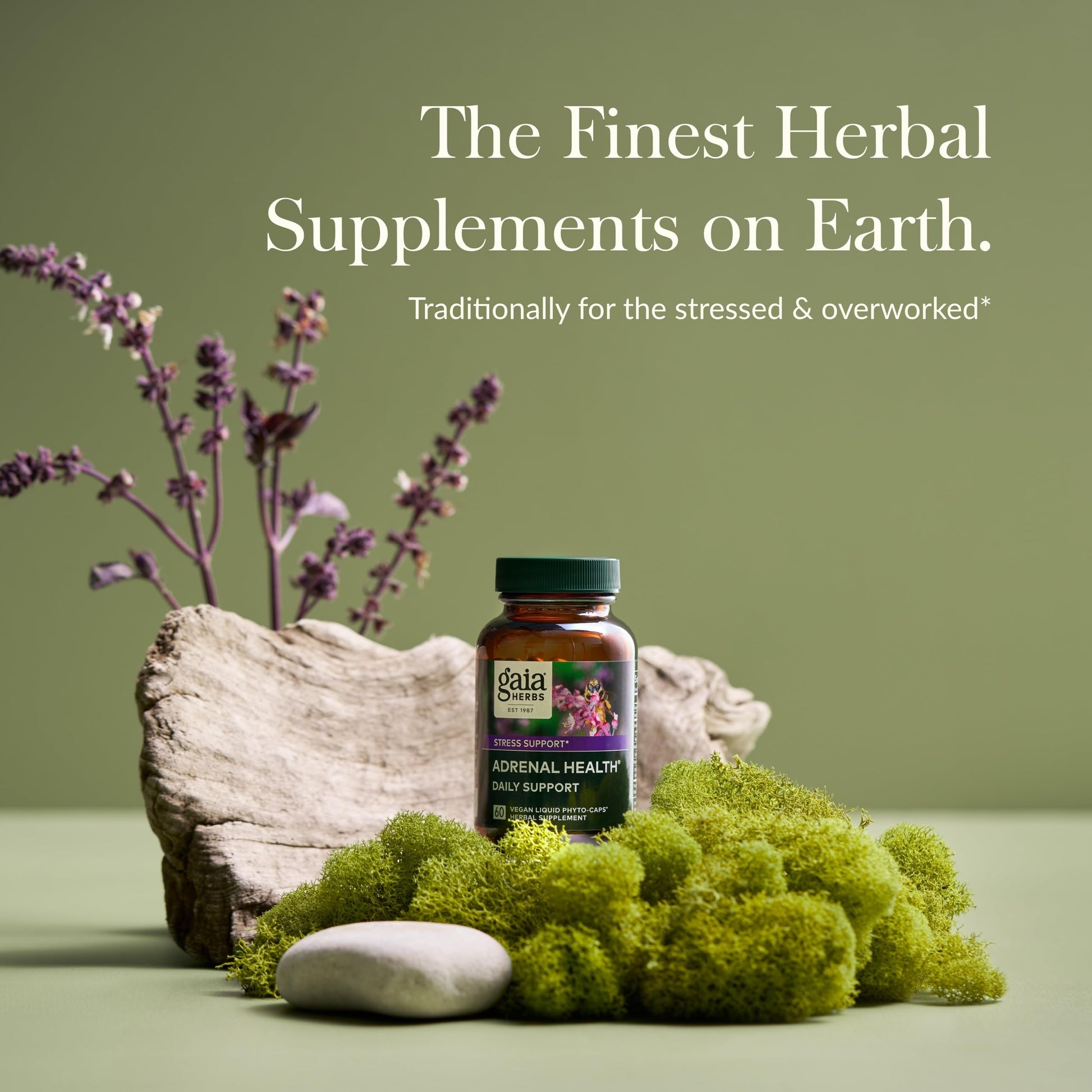 Gaia Herbs Adrenal Health Daily Support - with Ashwagandha, Holy Basil & Schisandra - Herbal Supplement to Help Maintain Healthy Energy & Stress Levels - 120 Vegan Liquid Phyto-Capsules (120 Count) - Nirvana Guru