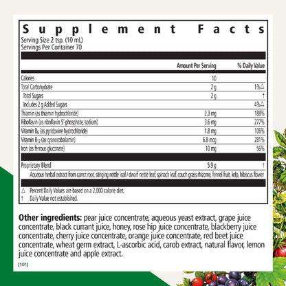 Floradix by Salus Iron & Herbs - Liquid Herbal Supplement for Energy Support* - Iron Supplement with Vitamin C & B Complex Vitamins - for Men & Women - 8.5 Fl Oz Nirvana Guru