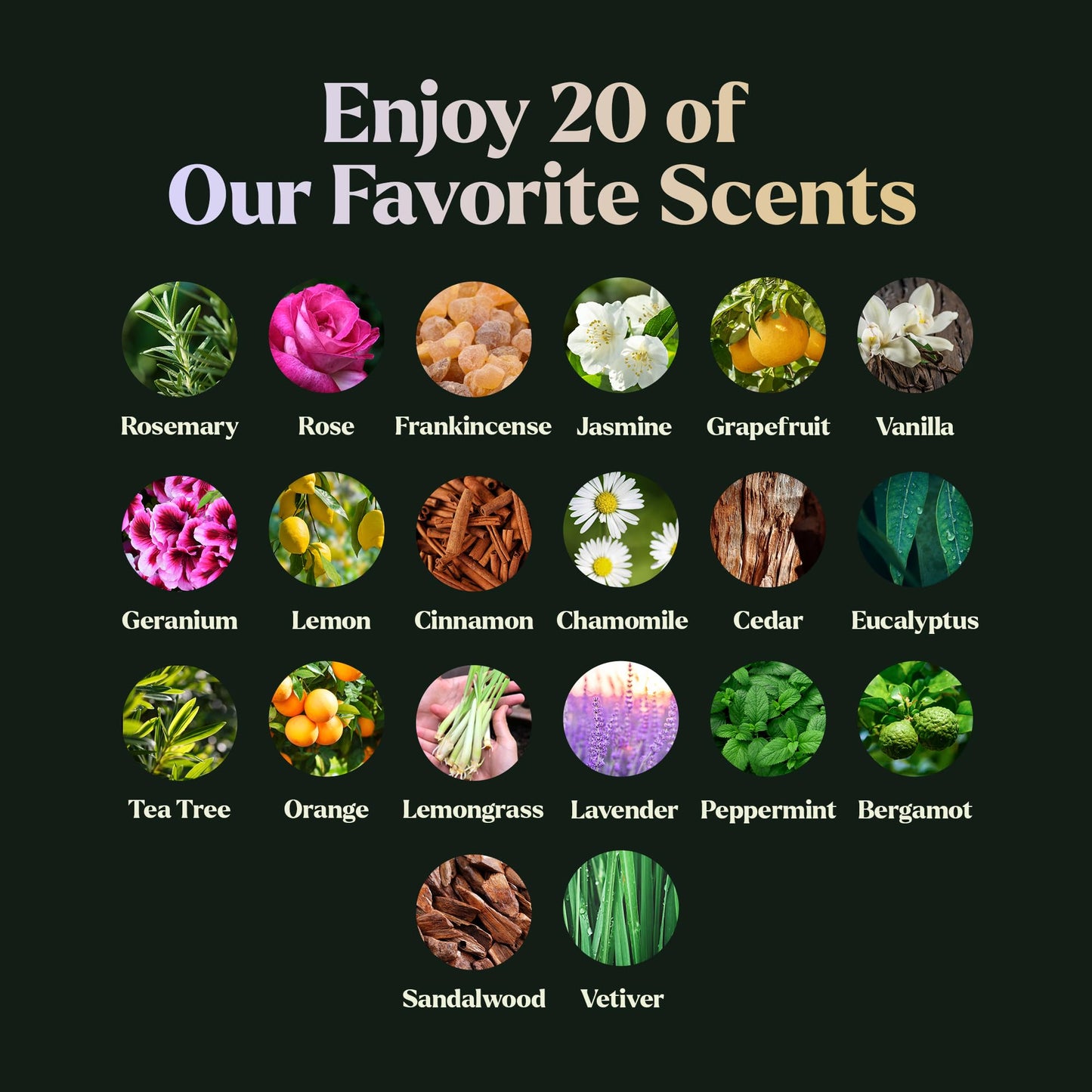 Lagunamoon Lavender Essential Oil - Pure Essential Oils for Diffusers, Humidifiers, Aromatherapy, Cars, Yoga, Home Essentials - Relaxing Fragrance Scents for Fresheners and Candle Making (150ml)