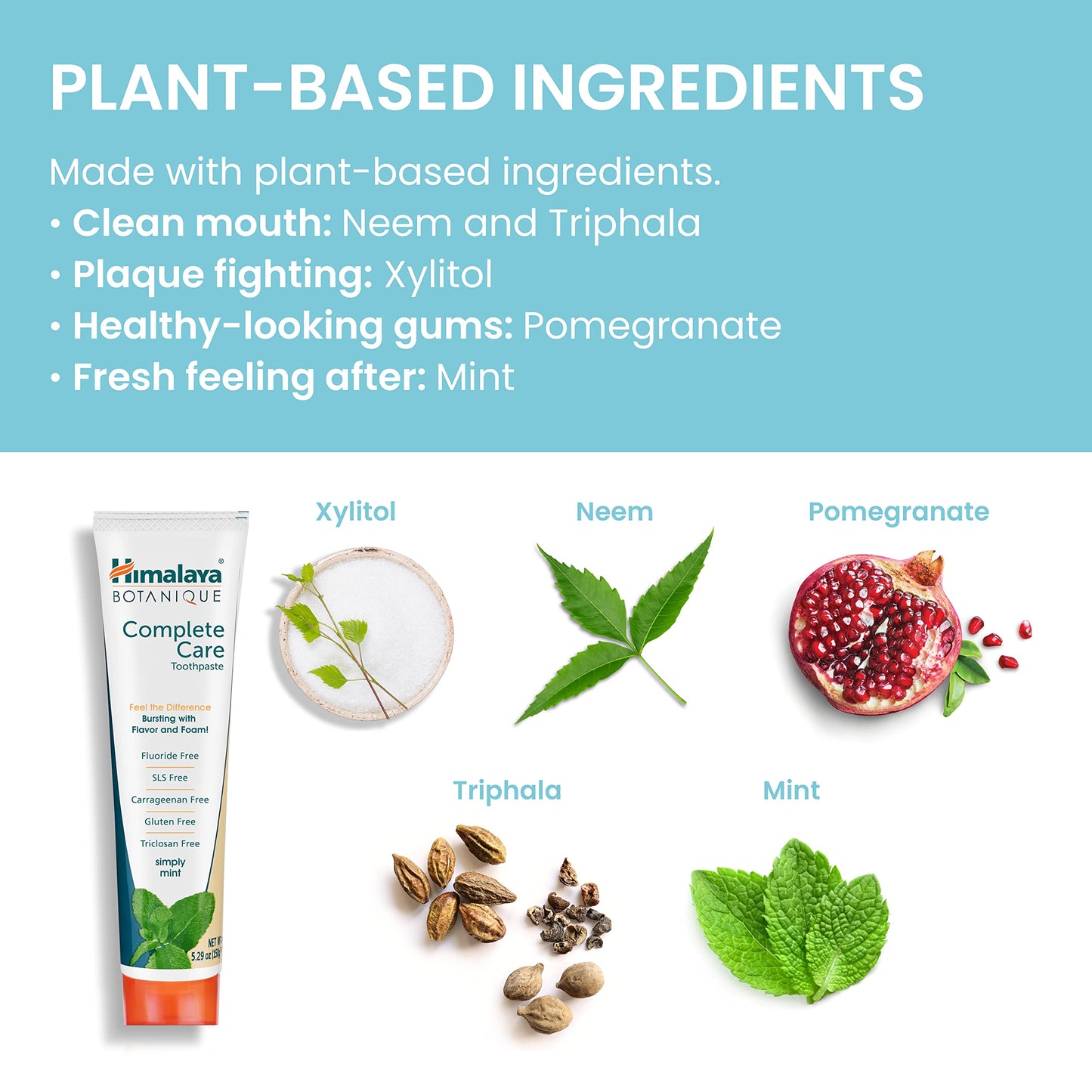 Himalaya Botanique Complete Care Toothpaste, Variety Pack - Fluoride Free Toothpaste for Clean Teeth & Fresh Breath - Vegan, Gluten Free, No Artificial Flavors, 5.29 oz (Pack of 4) - Nirvana Guru