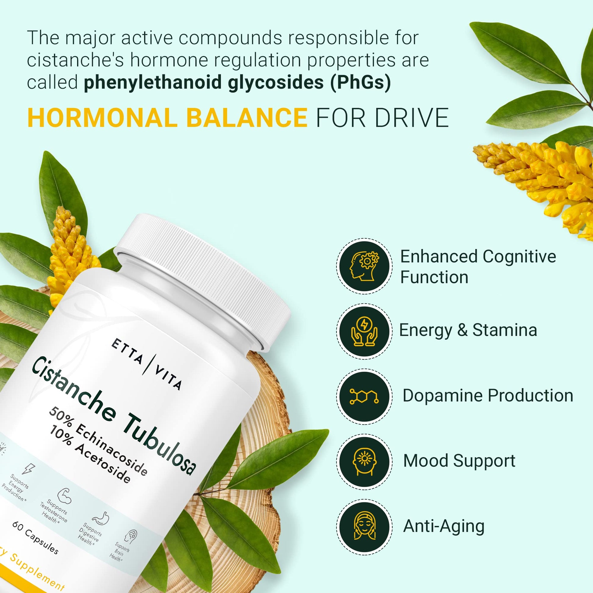 Potent Nattokinase 4000 FU Serrapeptase 240000 SPU Lumbrokinase 2000 FU Supplement - Proteolytic Enzymes Capsules for Energy Support, Digestion, Detox, Cognition & Gut Health for Men & Women Nirvana Guru