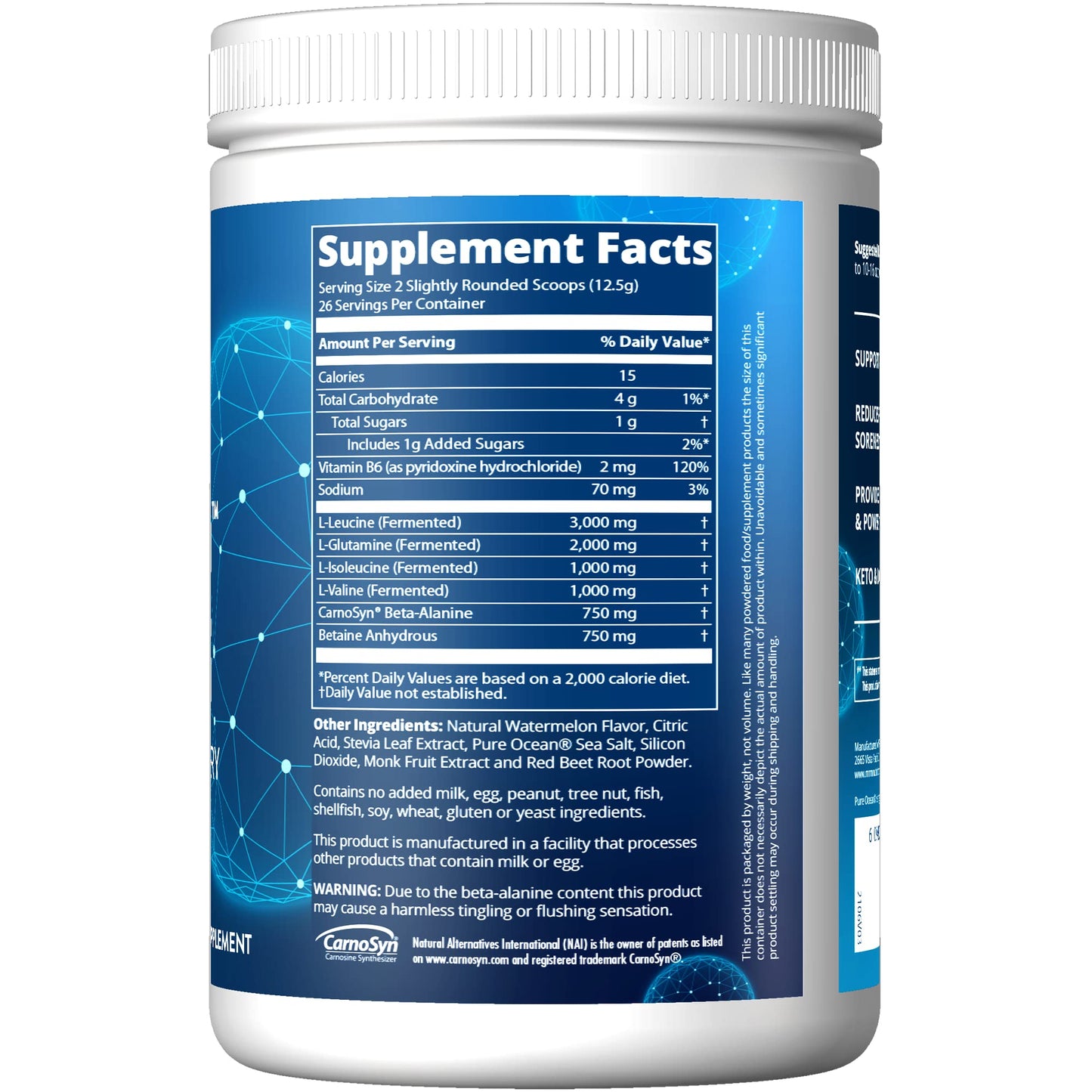 MRM Nutrition Reload BCAA+G Post-Workout Recovery| Island Fusion Flavored| 9.6g Amino Acids| with CarnoSyn®| Muscle Recovery| Keto Friendly| 26 Servings - Nirvana Guru