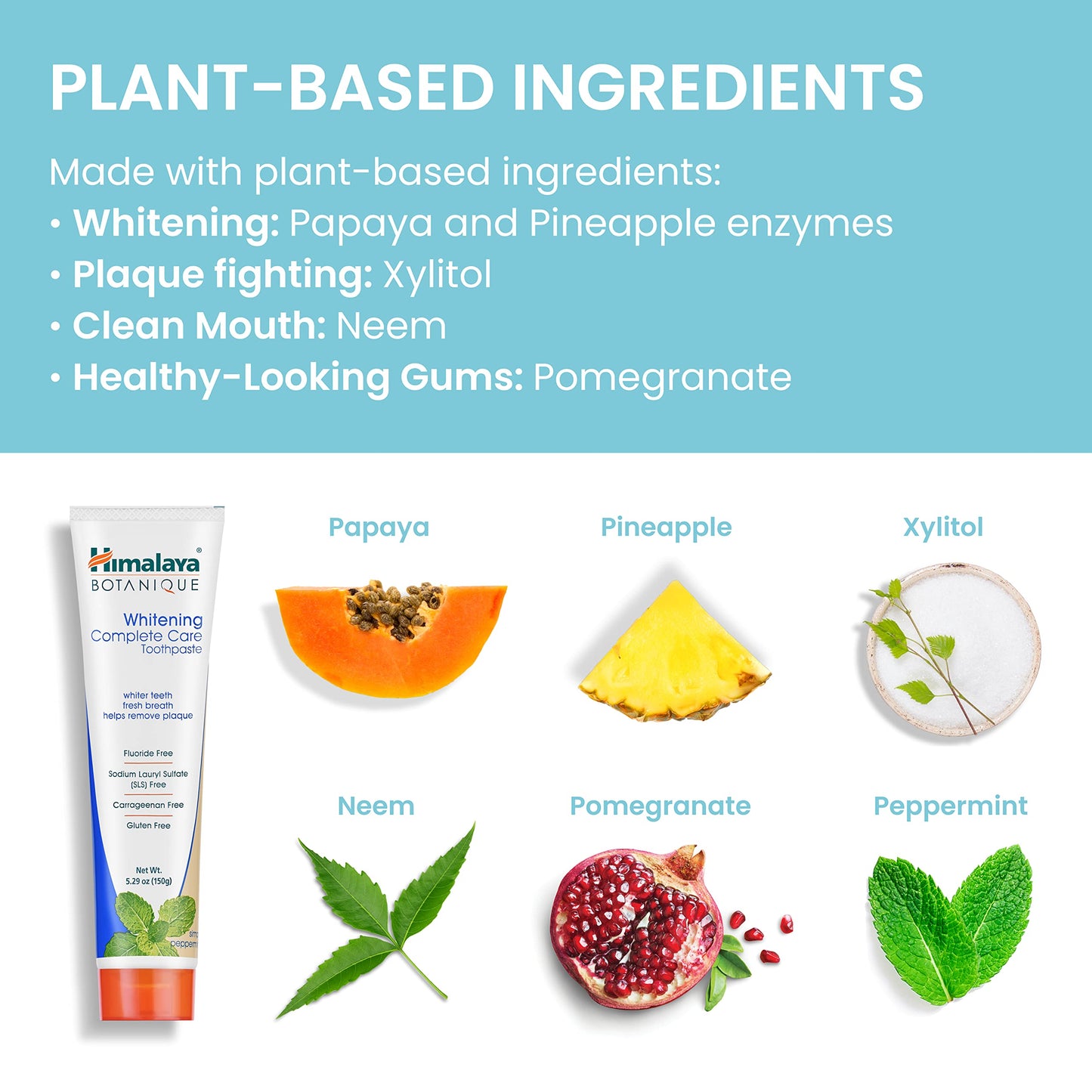Himalaya Botanique Whitening Complete Care Toothpaste, Teeth Whitening, Fights Plaque, Fluoride Free, No Artificial Flavors, SLS Free, Cruelty Free, Foaming, Simply Mint Flavor, 5.29 Oz, 2 Pack - Nirvana Guru
