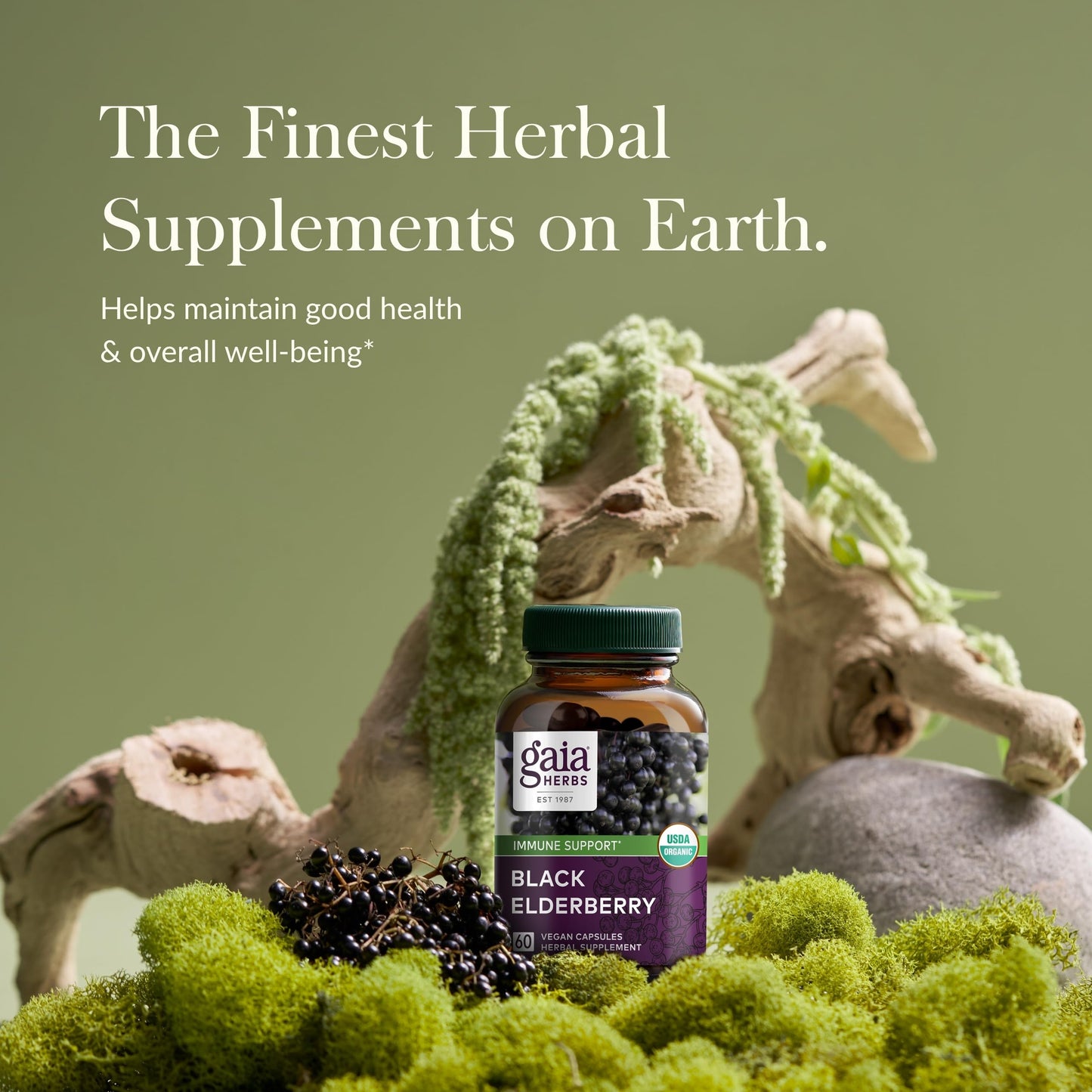 Gaia Herbs Black Elderberry - Daily Immune Support Supplement to Help Maintain Well-Being- with Black Elderberries and Acerola Fruit for Antioxidant Support - 120 Vegan Capsules (60-Day Supply) - Nirvana Guru