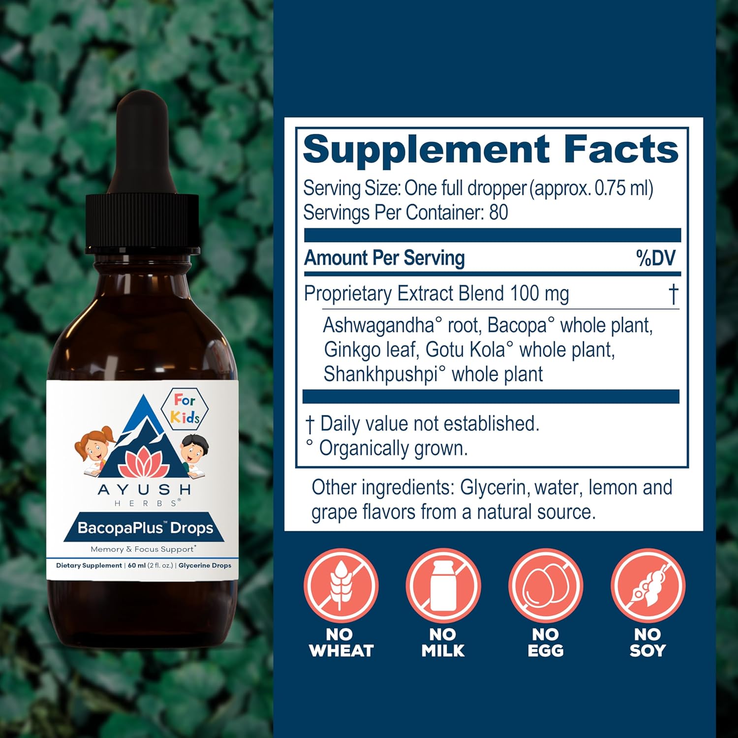 Ayush Herbs BacopaPlus Drops for Kids - Kids Focus and Attention Supplement with Bacopa, Ashwagandha, Ginkgo, Support for Brain & Memory, Organic Ingredients - 2 Fl Oz (80 Servings) Nirvana Guru