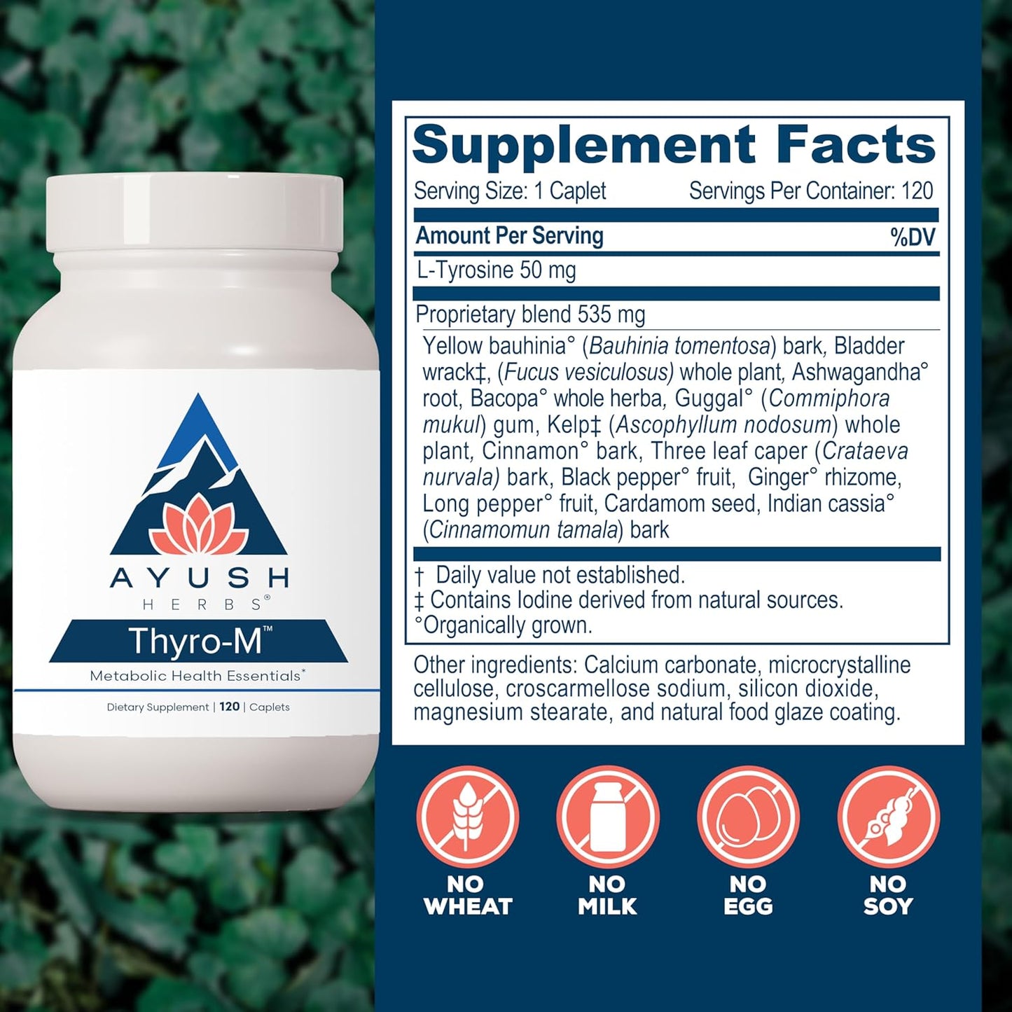 Ayush Herbs Thyro-M - Thyroid Support for Women & Men, Thyroid Health, Thyroid Care with L Tyrosine, Ashwagandha, Kelp, Natural Energy Support - 120 Vegetarian Capsules (1 Count) Nirvana Guru
