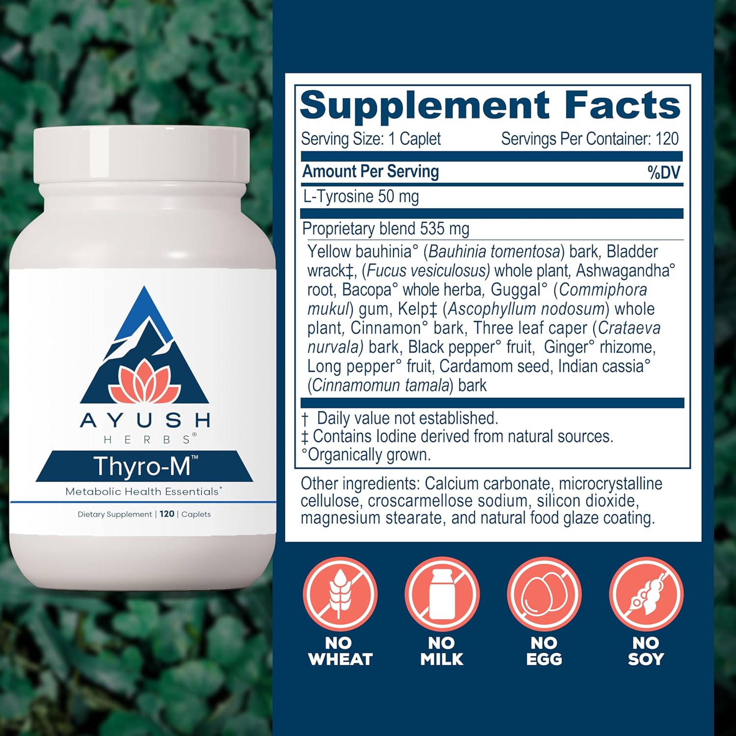 Ayush Herbs Thyro-M - Thyroid Support for Women & Men, Thyroid Health, Thyroid Care with L Tyrosine, Ashwagandha, Kelp, Natural Energy Support - 120 Vegetarian Capsules (1 Count) Nirvana Guru