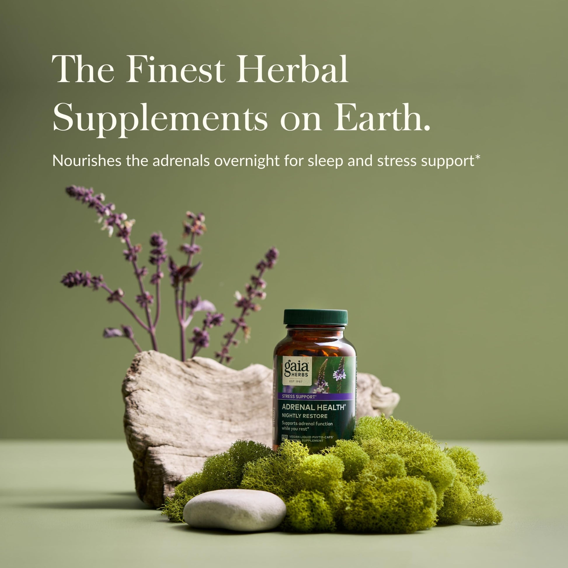 Gaia Herbs Adrenal Health Nightly Restore - Herbal Supplement with Ashwagandha, Magnolia Bark, Cordyceps, Lemon Balm & More - 120 Vegan Liquid Phyto-Capsules (60 Servings) - Nirvana Guru