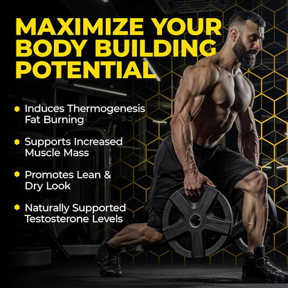 Avry Labs Extreme Anabolic Supplement – Pre-Workout Dietary Supplement, Lean Muscle Builder & Fat Burner – Supports Protein Synthesis, Testosterone Levels & Muscle Growth – Vegan, 60 Capsules Nirvana Guru