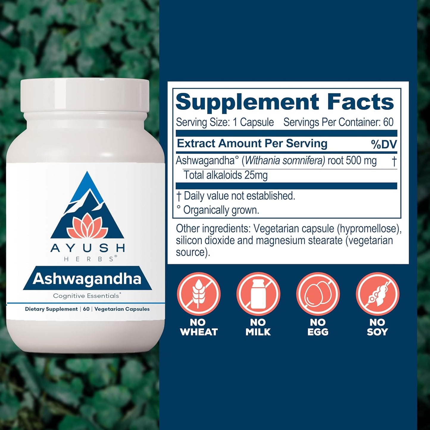 Ayush Herbs Ashwagandha Capsules - Ashwagandha for Men & Women, Ashwagandha Supplements, Pure Ashwagandha Root Powder for Stress, 500mg per Pill - 60 Vegetarian Caplets (1 Count) Nirvana Guru