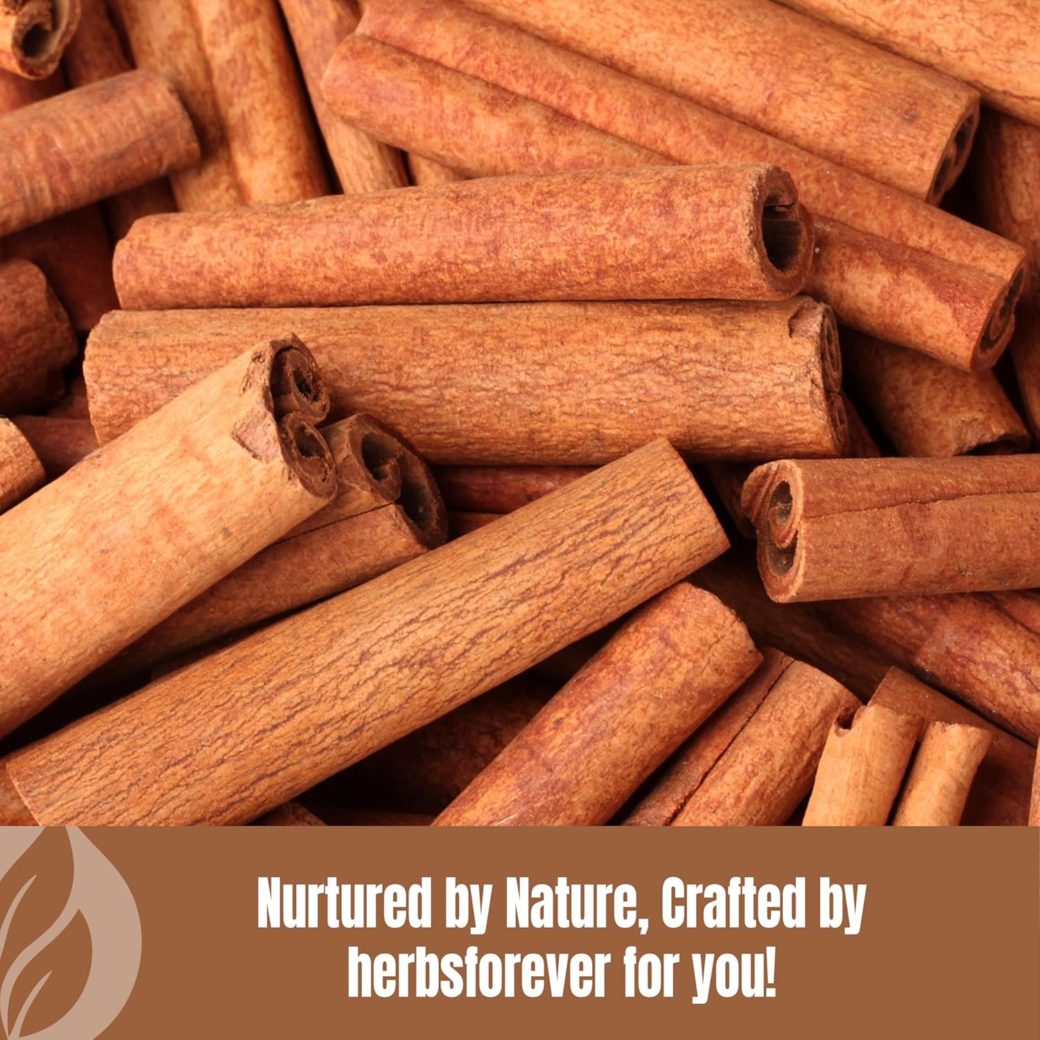Cinnamon Powder Cinnamomum Verum Perfect for Baking, Cooking & Smoothies Non GMO, Vegan 230 GMS Nirvana Guru
