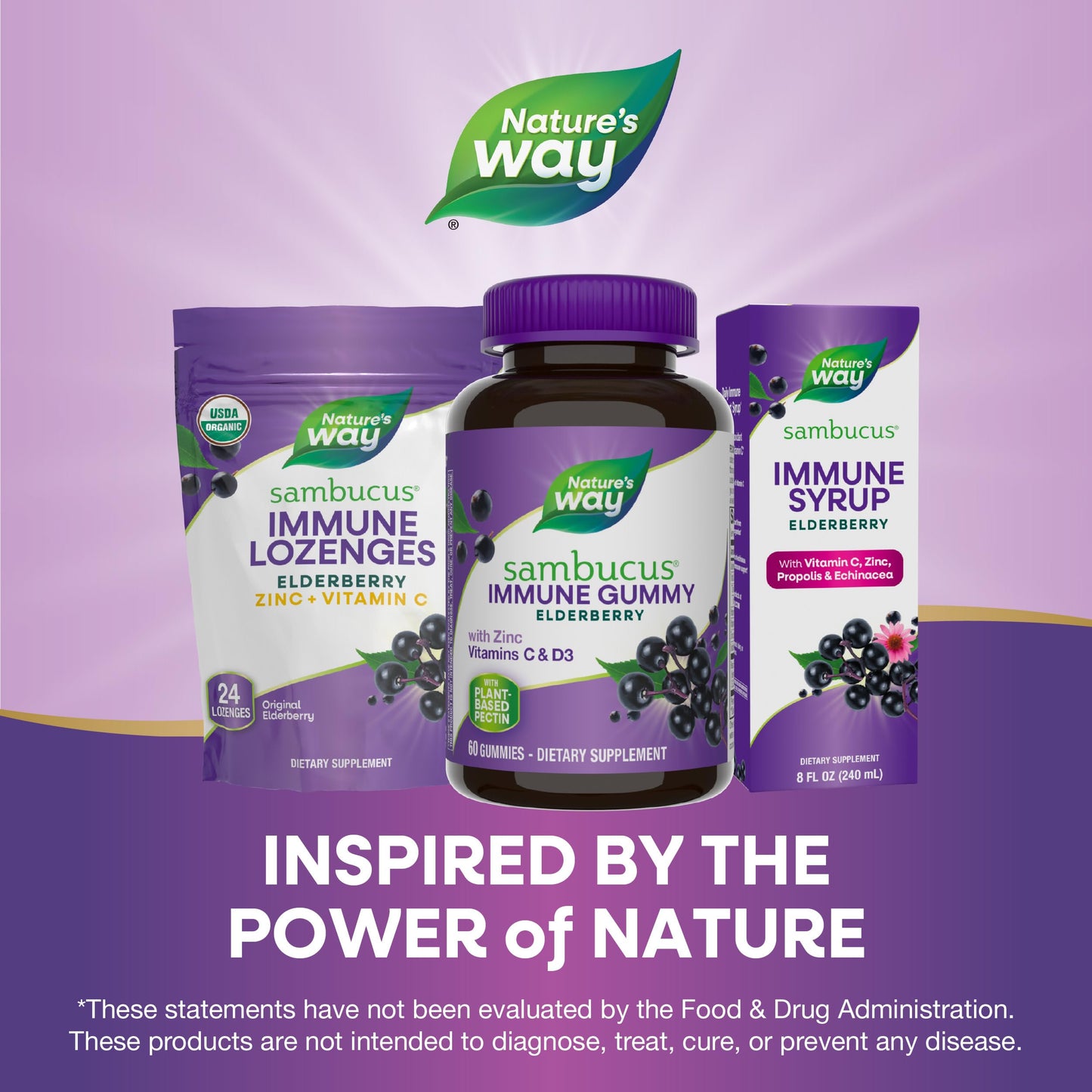 Nature's Way Sambucus Elderberry Immune Gummies for Kids, Immune Support Gummies*, with Black Elderberry Extract, Vitamin C and Zinc, 60 Gummies (Packaging May Vary) - Nirvana Guru