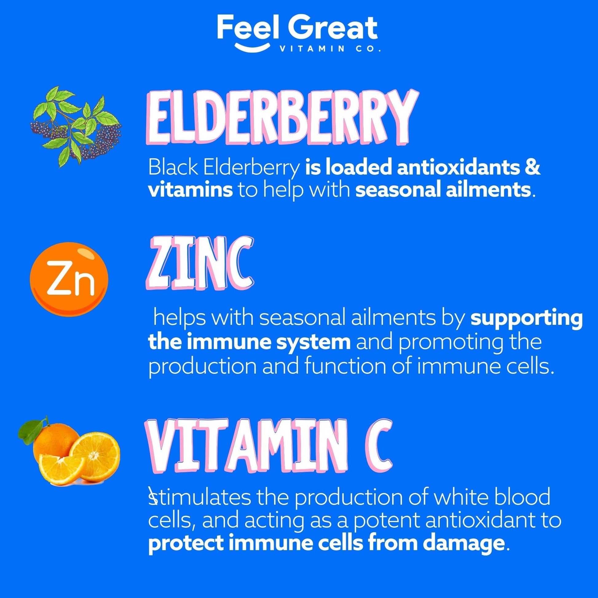 Feel Great Vitamin Co. Complete DHA Gummies for Kids | with Omega 3 6 9 + DHA, Vitamin C | Supports Healthy Brain Function, Vision & Heart Health | Gluten Free, Vegetarian | 60 Gummies Nirvana Guru