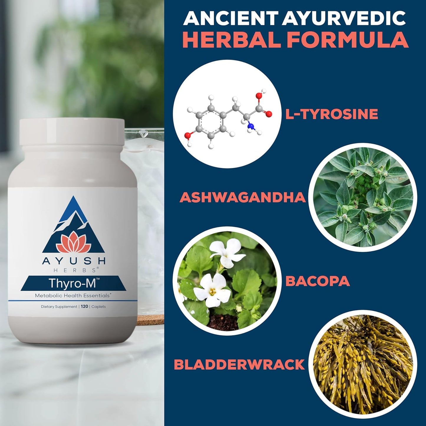 Ayush Herbs Thyro-M - Thyroid Support for Women & Men, Thyroid Health, Thyroid Care with L Tyrosine, Ashwagandha, Kelp, Natural Energy Support - 120 Vegetarian Capsules (1 Count) Nirvana Guru