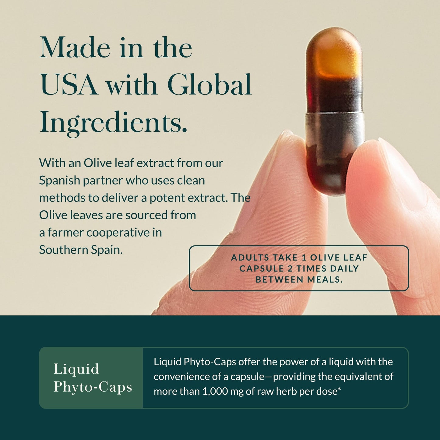 Gaia Herbs Olive Leaf - Traditional Immune Health Support - Immune System Supplement with Olive Leaf Extract and Oleuropein - 120 Vegan Liquid Phyto-Caps - Nirvana Guru