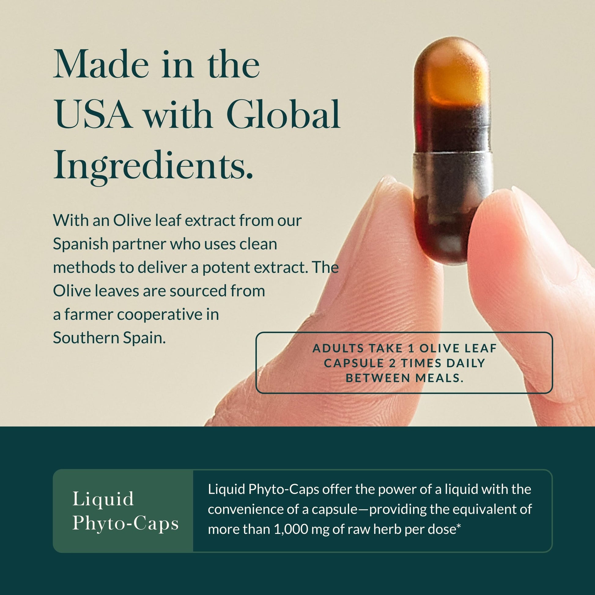 Gaia Herbs Olive Leaf - Traditional Immune Health Support - Immune System Supplement with Olive Leaf Extract and Oleuropein - 120 Vegan Liquid Phyto-Caps - Nirvana Guru