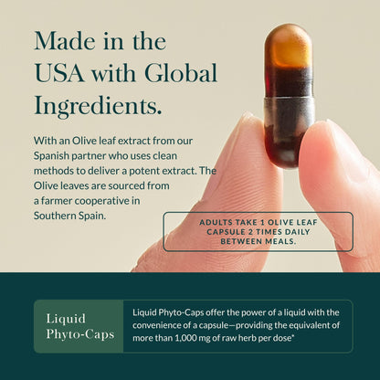 Gaia Herbs Olive Leaf - Traditional Immune Health Support - Immune System Supplement with Olive Leaf Extract and Oleuropein - 120 Vegan Liquid Phyto-Caps - Nirvana Guru