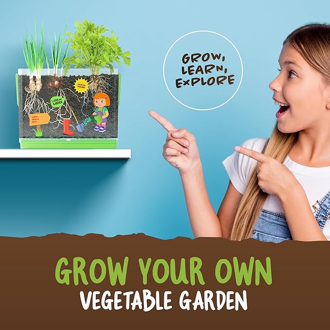 Dan&Darci Root Viewer Kit for Kids - Grow Your Own Plant for Boys & Girls Gifts - Science STEM Toy & Craft Growing Kits for Ages 4-8 Birthday Gifts for Boy, Girl 4, 5, 6, 7, 8, Year Old - Gardening nirvanaguru