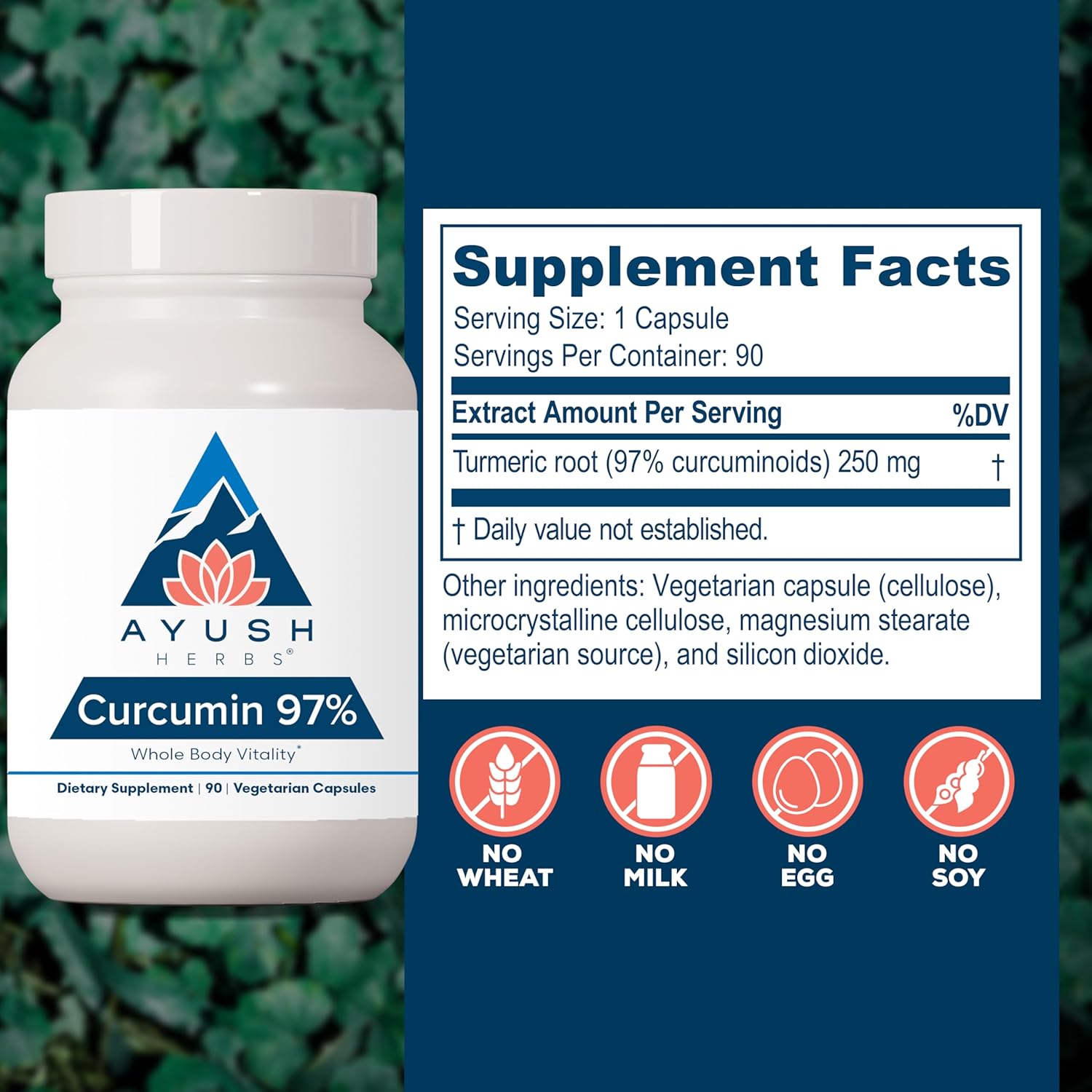 Ayush Herbs Curcumin 97% - Curcumin Supplements, Premium Turmeric Root Supplement, Curcuminoids for Women & Men, Adults, Premium Joint Support, Strength & Vitality - 90 Vegetarian Capsules (1 Count) Nirvana Guru