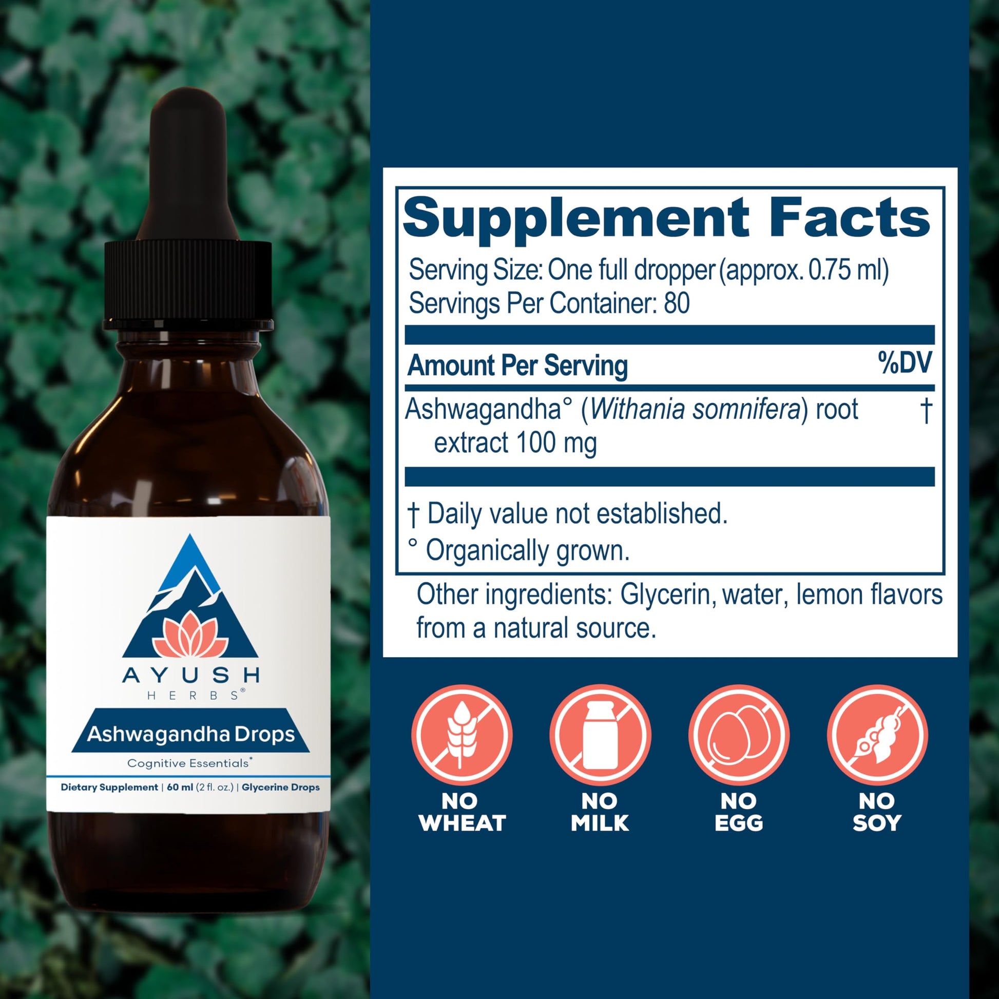 Ayush Herbs Ashwagandha Drops - Ashwagandha Alcohol-Free Drops for Adults, Calming Daily Supplement for Focus & Attention with Organic Ashwagandha, Lemon Flavor - 2 Fl Oz (80 Servings) Nirvana Guru