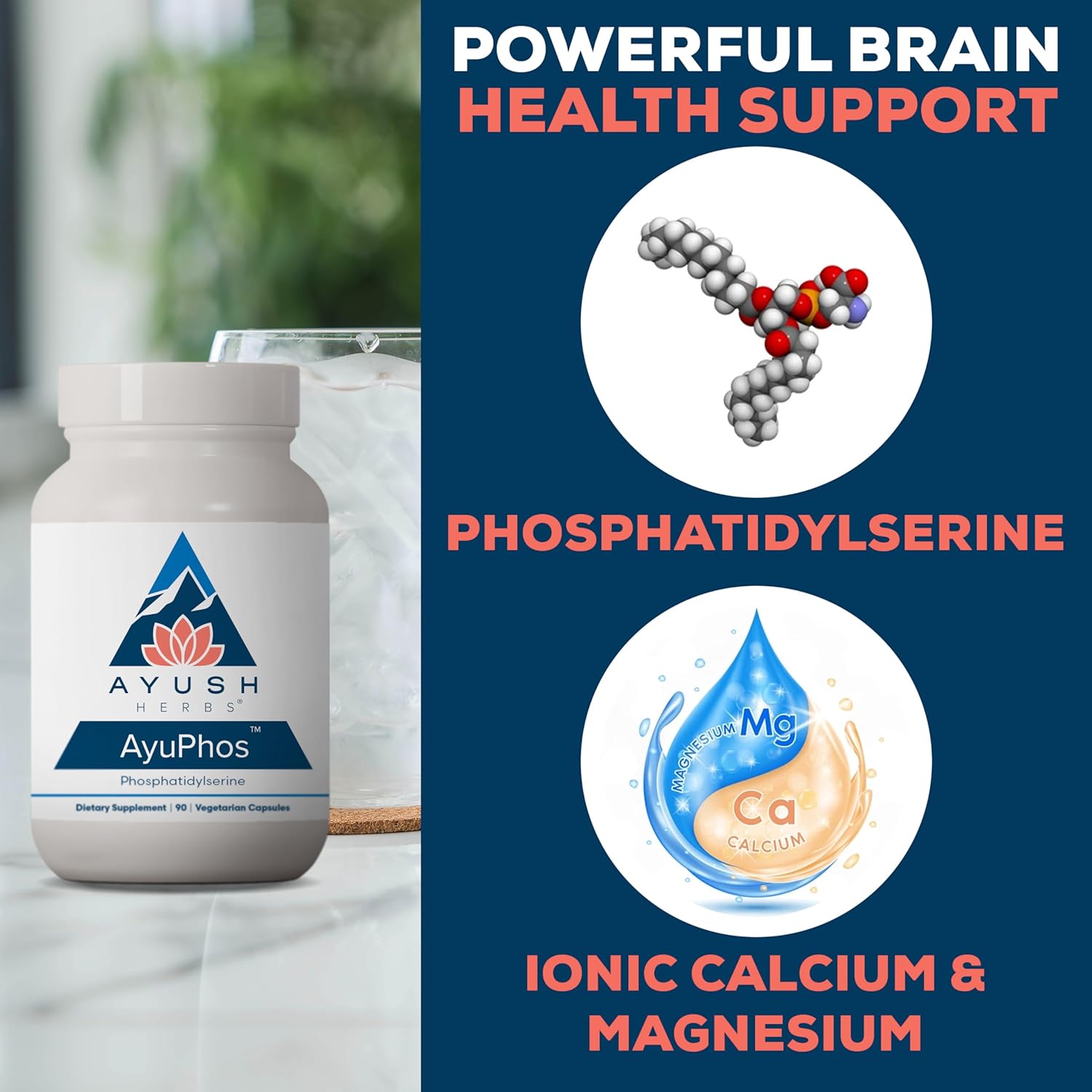 Ayush Herbs AyuPhos - Phosphatidylserine Supplement for Men & Women, Soy-Free Phosphatidyl Serine, Brain, Memory, & Cognitive Support for Adults, 200mg Per Pill - 90 Vegetarian Capsules (1 Count) Nirvana Guru