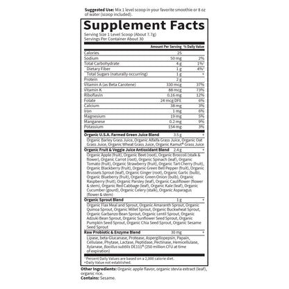 Garden of Life Raw Organic Perfect Food Green Superfood Juiced Greens Powder - Chocolate, 30 Servings (Packaging May Vary) - Nirvana Guru