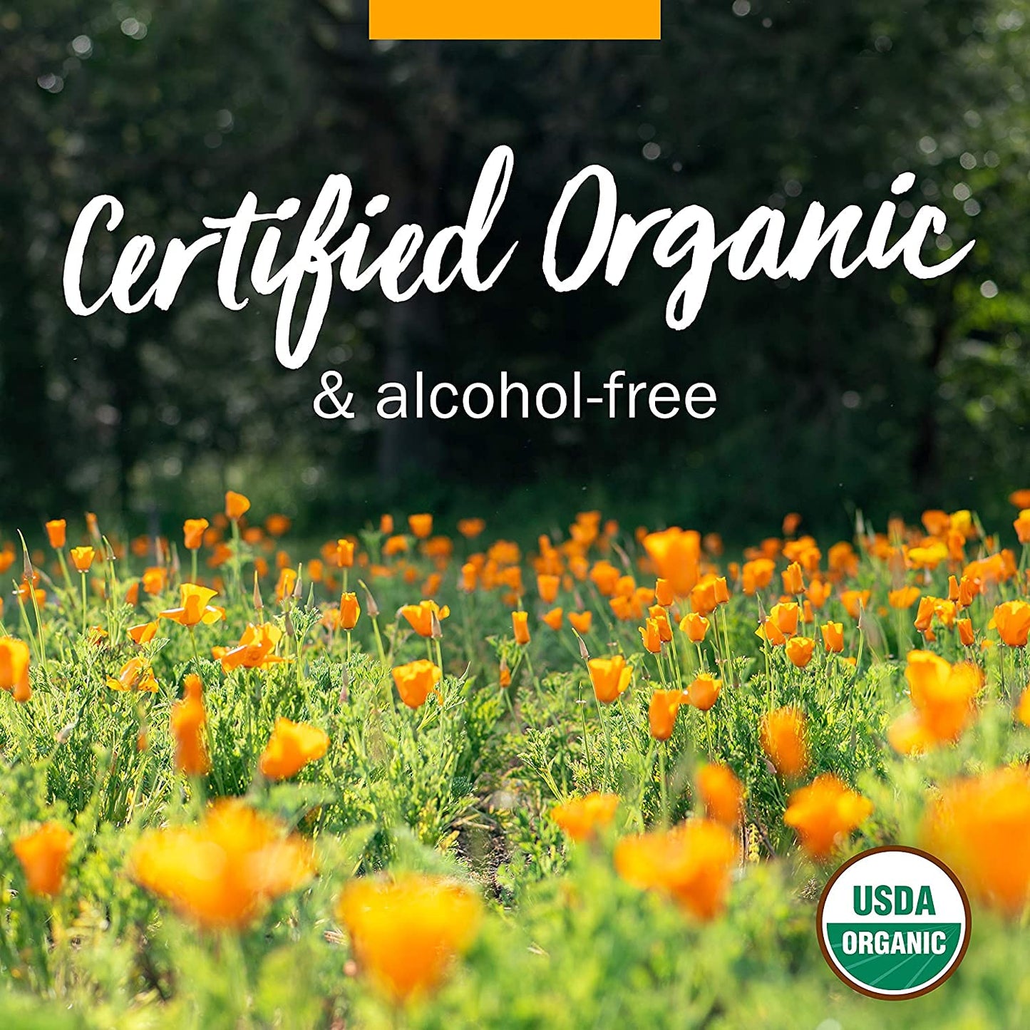 Herb Pharm Kids Certified-Organic Alcohol-Free Immune Fortifier Liquid Herbal Formula, 1 Ounce - Nirvana Guru