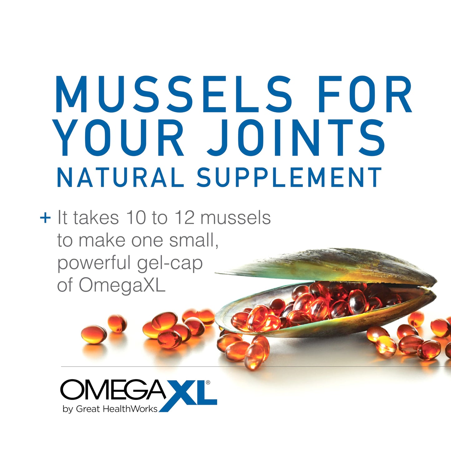 OmegaXL Joint Support Supplement - Natural Muscle Support, Green Lipped Mussel Oil, Soft Gel Pills, Drug-Free, 120 Count Nirvana Guru
