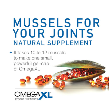 OmegaXL Joint Support Supplement - Natural Muscle Support, Green Lipped Mussel Oil, Soft Gel Pills, Drug-Free, 120 Count Nirvana Guru