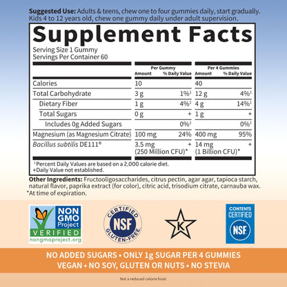 Garden of Life - Dr Formulated Magnesium Citrate Supplement with Prebiotics & Probiotics for Stress, Sleep & Recovery - Vegan, Gluten Free, Kosher, Non-GMO, No Added Sugars – 60 Raspberry Gummies - Nirvana Guru