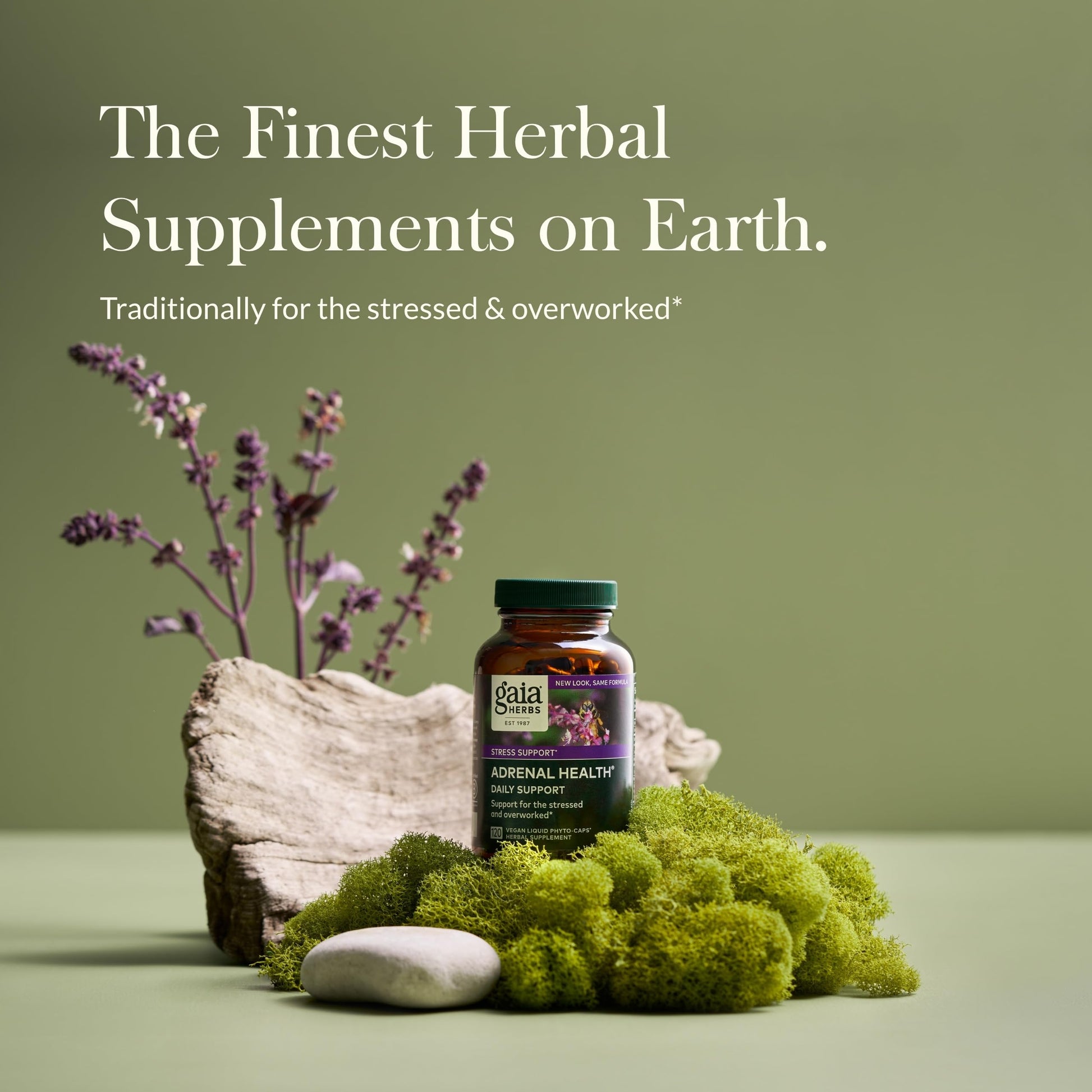 Gaia Herbs Adrenal Health Daily Support - with Ashwagandha, Holy Basil & Schisandra - Herbal Supplement to Help Maintain Healthy Energy & Stress Levels - 120 Vegan Liquid Phyto-Capsules (120 Count) - Nirvana Guru