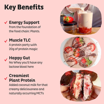 KOS Vegan Protein Powder Erythritol Free, Vanilla USDA Organic - Pea Protein Blend, Plant Based Superfood Rich in Vitamins & Minerals - Keto, Dairy Free - Meal Replacement for Women & Men, 28 Servings - Nirvana Guru
