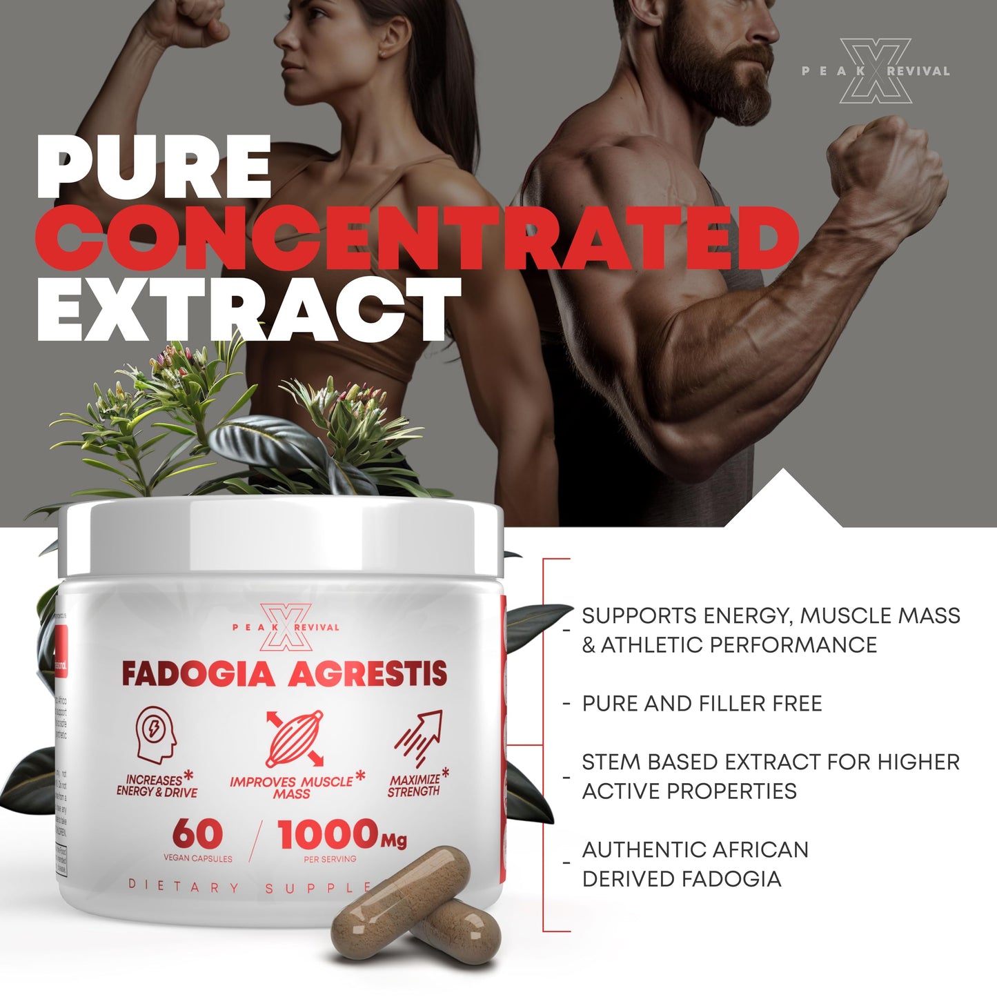 Turkesterone & Tongkat Ali 1000mg Supplement - 500mg Ajuga Turkestanica Per Serving Increase Stamina, Lean Muscle Growth & Recovery - Made in The USA (60 Capsules)