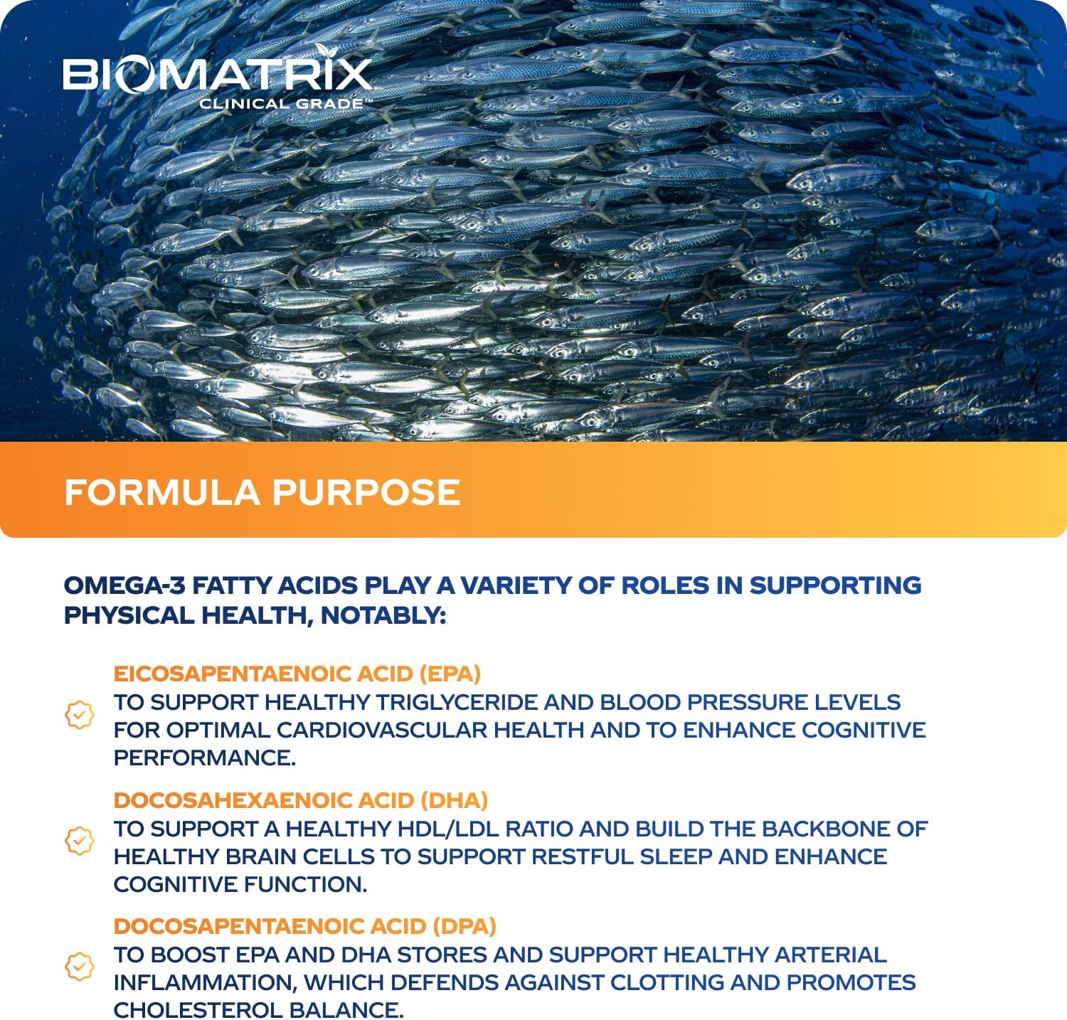 Support Omega (120 Gel Capsules) Omega 3 Fish Oil Supplement - Cardiovascular, Musculoskeletal Support Nirvana Guru