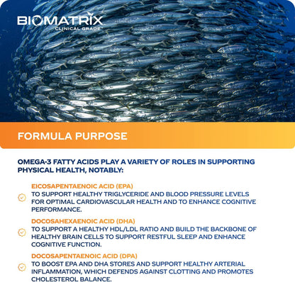 Support Omega (120 Gel Capsules) Omega 3 Fish Oil Supplement - Cardiovascular, Musculoskeletal Support Nirvana Guru