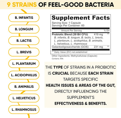 Lifted Naturals Mood Boosting Probiotic 30 Billion CFU - Mood Support Supplement, Prebiotics and Probiotics for Women & Men, Acidophilus Lactobacillus Probiotic, Shelf Stable & Non-GMO, 60 Capsules - Nirvana Guru