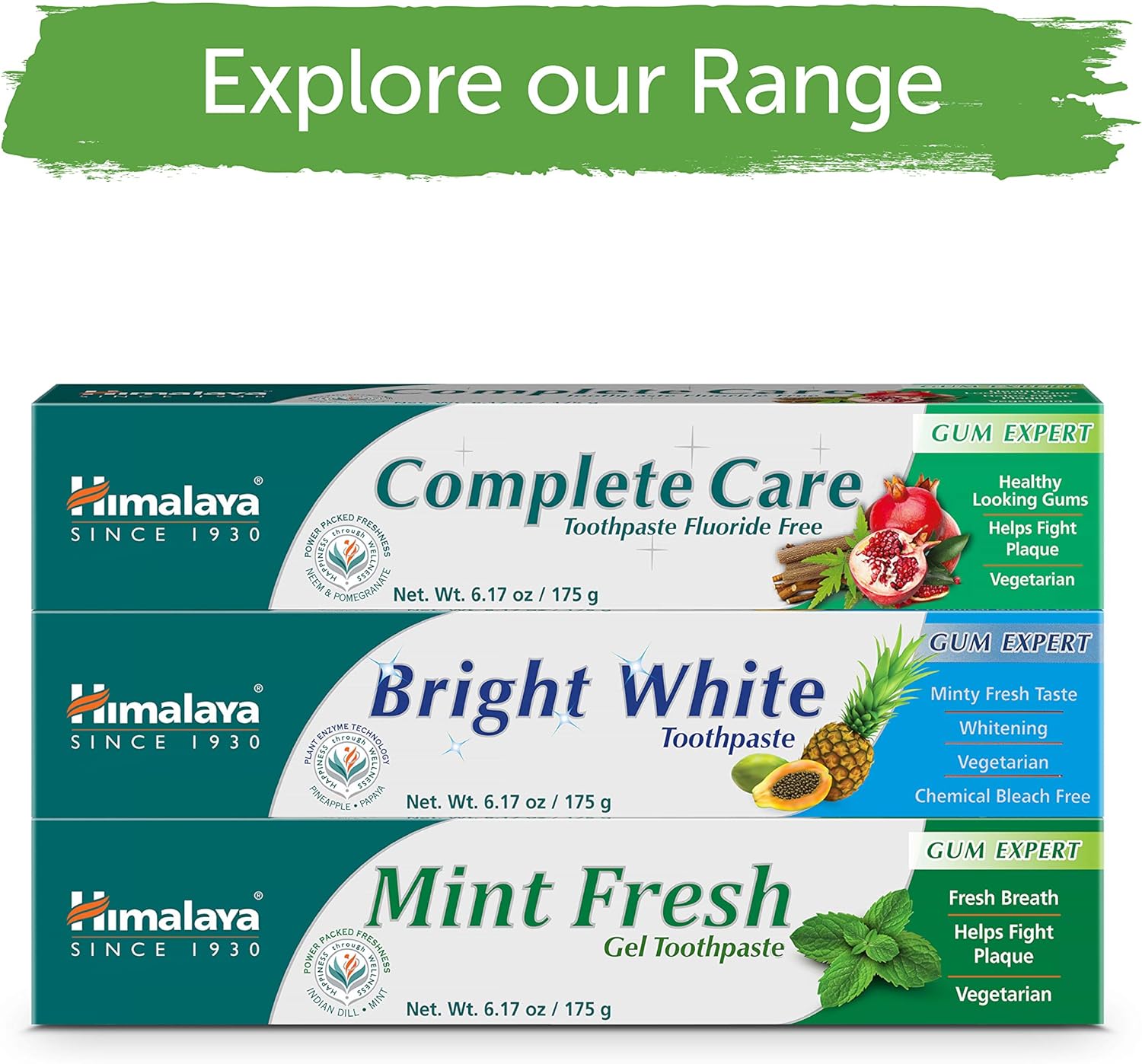 Himalaya Mint Fresh Gel Toothpaste, Fluoride Free to Reduce Plaque & Brighten Teeth, 6.17 oz, 2 Pack - Nirvana Guru
