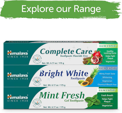 Himalaya Mint Fresh Gel Toothpaste, Fluoride Free to Reduce Plaque & Brighten Teeth, 6.17 oz, 2 Pack - Nirvana Guru
