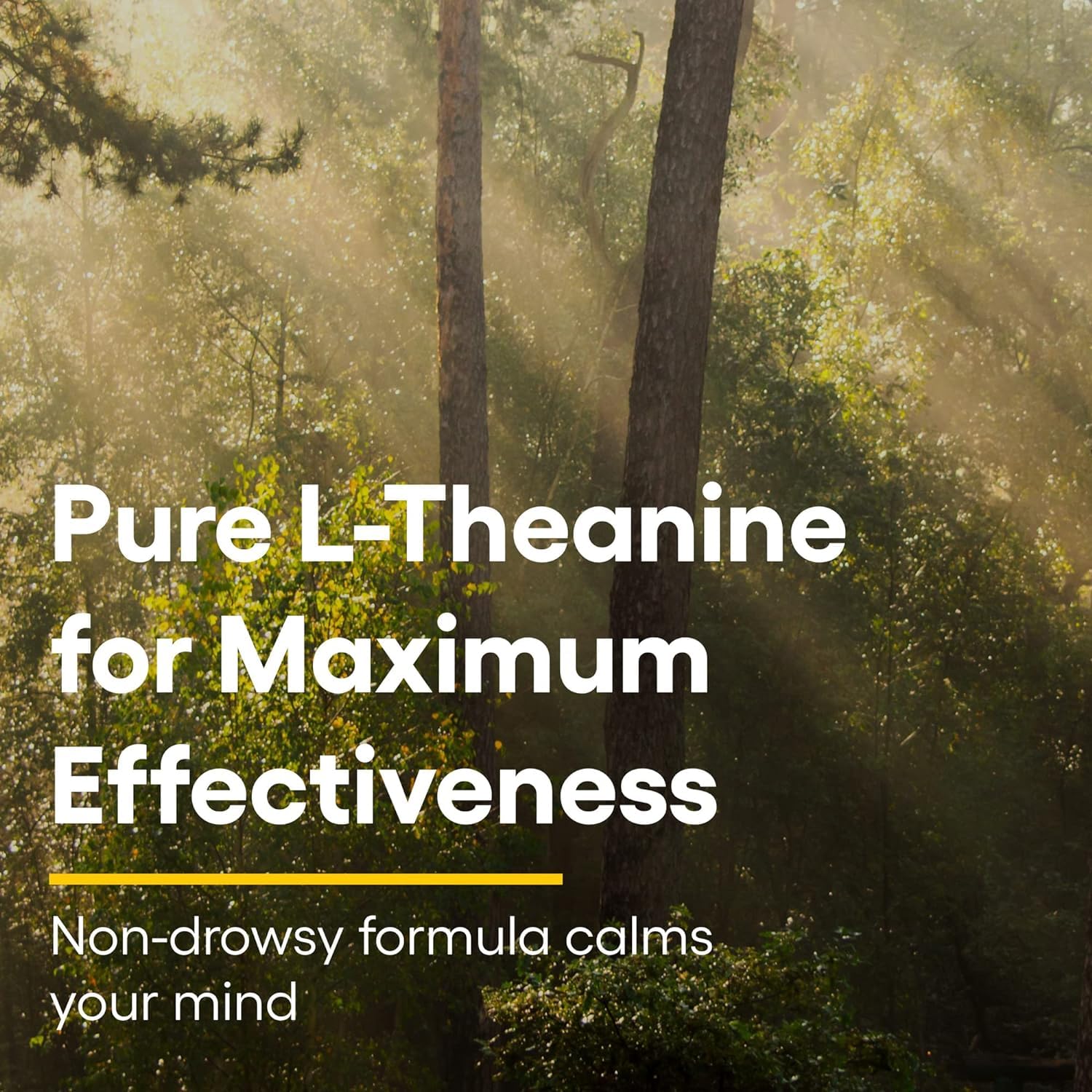 Natural Factors Stress-Relax Chewable Suntheanine L-Theanine 100 mg, Non-Drowsy Stress Support for Mental Calmness and Relaxation, Tropical Fruit Flavor, 60 Tablets - Nirvana Guru