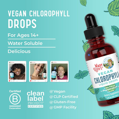 MaryRuth's Chlorophyll Liquid Drops | Clean Label Project Certified® | Vegan | Non-Diluted Liquid Chlorophyll| Mulberry Derived Supplement for Ages 14+ | Non-GMO | Delicious Minty Flavor | 2 Fl Oz - Nirvana Guru