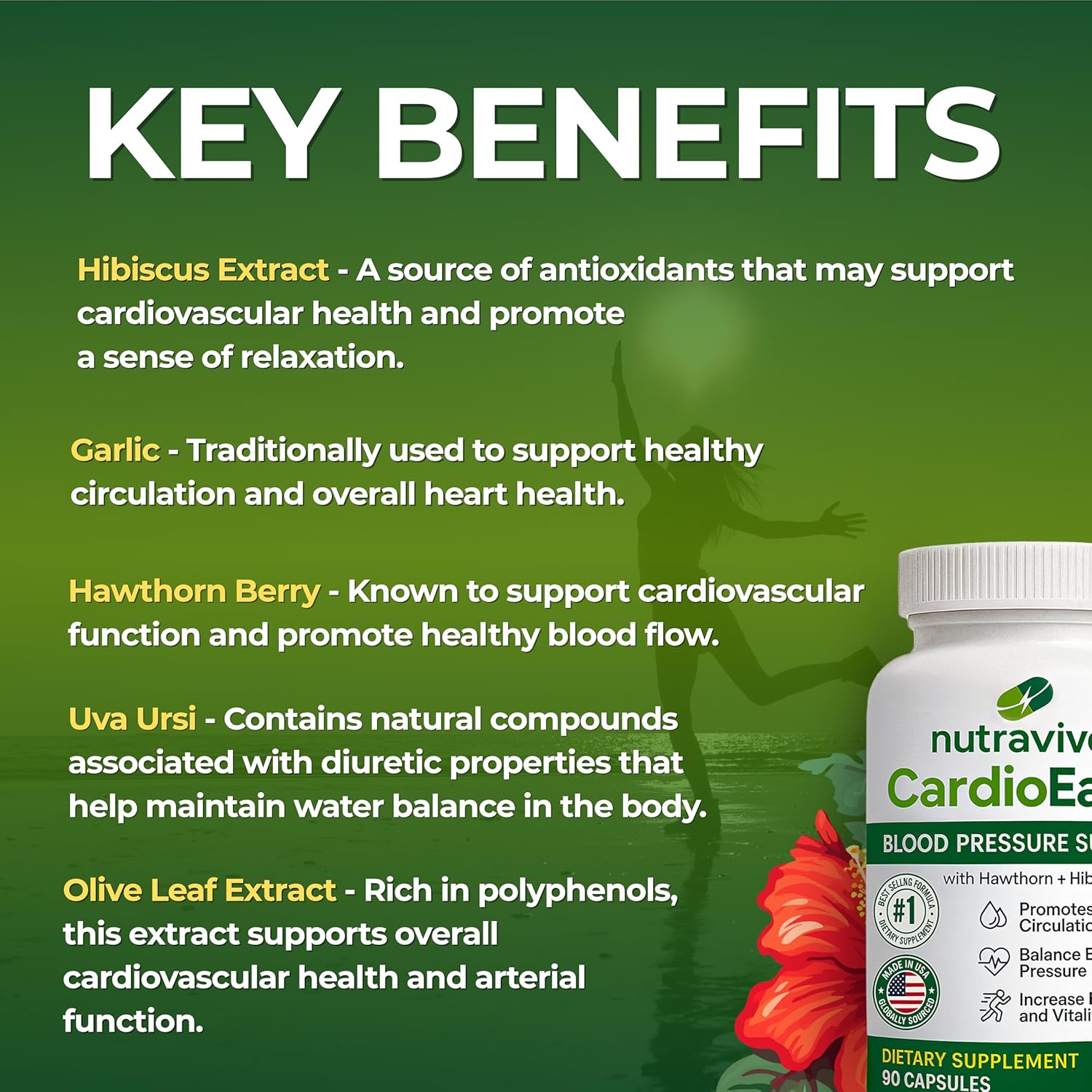 Nutravive Blood Pressure Support Supplement – Natural Heart & Circulation Support with Hawthorn, Garlic, Olive Leaf, Hibiscus & B12 – USA Made, GMP Facility, Third-Party Tested – 90 Capsules Nirvana Guru