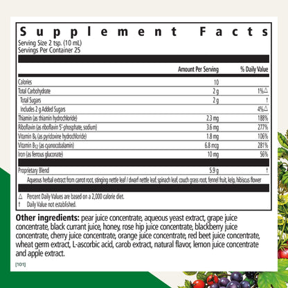 Floradix by Salus Iron & Herbs - Liquid Herbal Supplement for Energy Support* - Iron Supplement with Vitamin C & B Complex Vitamins - for Men & Women - 8.5 Fl Oz Nirvana Guru