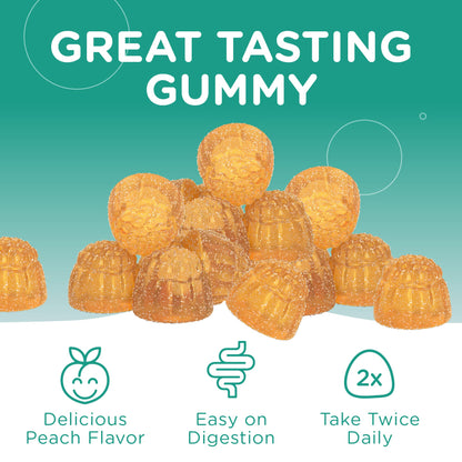 Chapter One Magnesium Gummies for Kids & Adults - Natural Calm Gummies - Calm Magnesium Citrate - Bone and Muscle Function Supplements for Kids & Adults - Mood Support, Kosher Apple Flavor (60) - Nirvana Guru