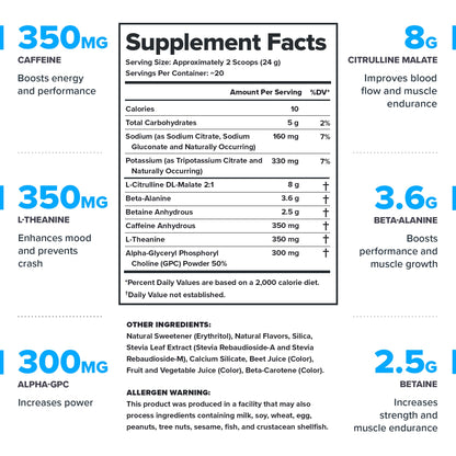LEGION Pulse Pre Workout Supplement - All Natural Nitric Oxide Preworkout Drink to Boost Energy, Creatine Free, Naturally Sweetened, Beta Alanine, Citrulline, Alpha GPC (Fruit Punch) Nirvana Guru