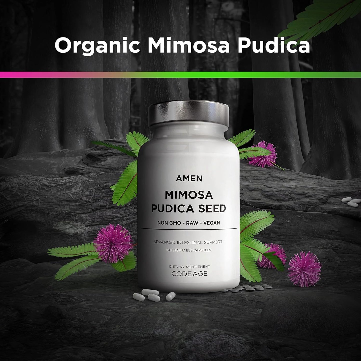 Amen Organic Mimosa Pudica Seeds Capsules, 2 Month Supply, Vegan Mimosa Pudica Seed Plant Supplement - Mimosine Sensitive Plant Pills - Fat Soluble Dietary Supplement - Non-GMO & Vegan - 120 Capsules Nirvana Guru