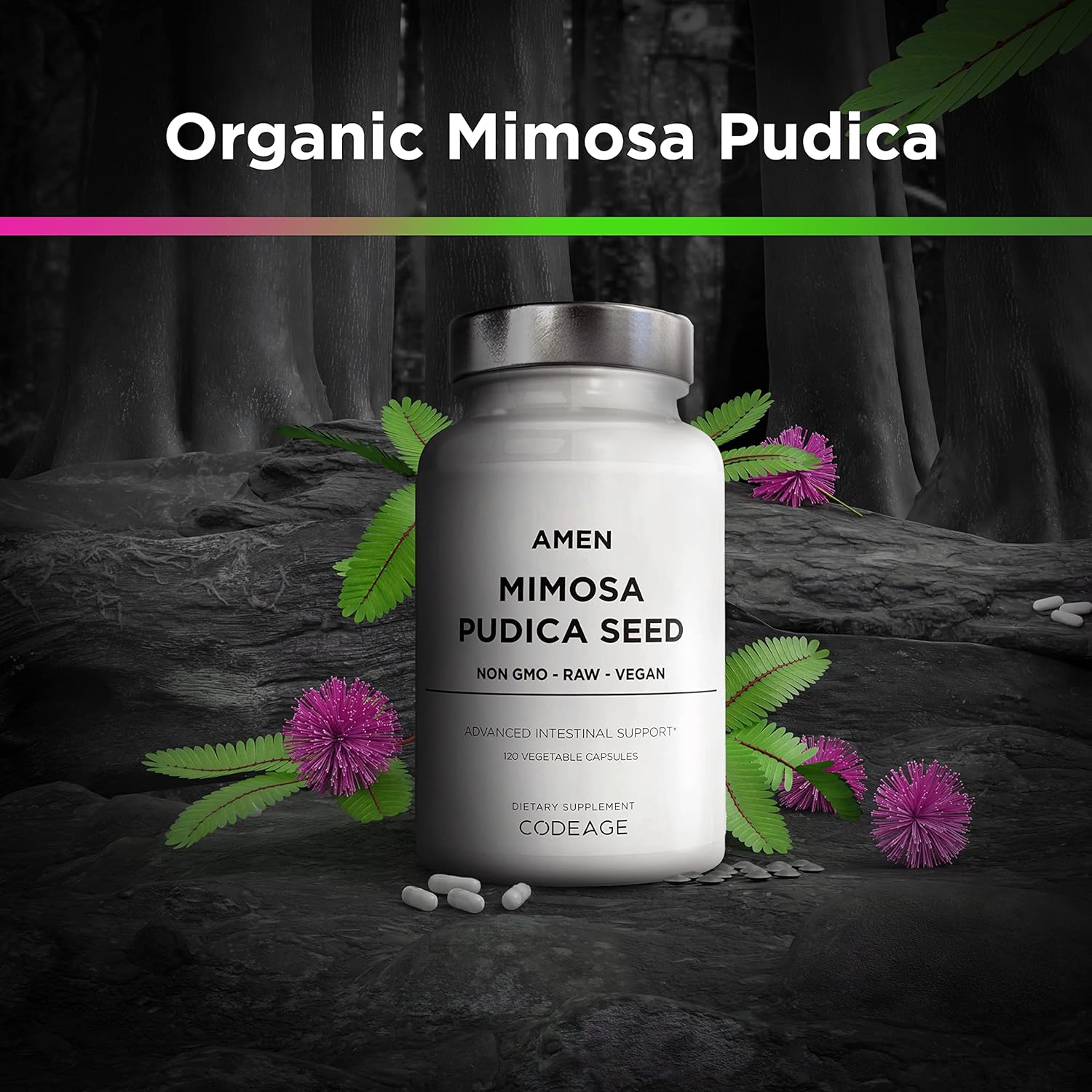Amen Organic Mimosa Pudica Seeds Capsules, 2 Month Supply, Vegan Mimosa Pudica Seed Plant Supplement - Mimosine Sensitive Plant Pills - Fat Soluble Dietary Supplement - Non-GMO & Vegan - 120 Capsules Nirvana Guru