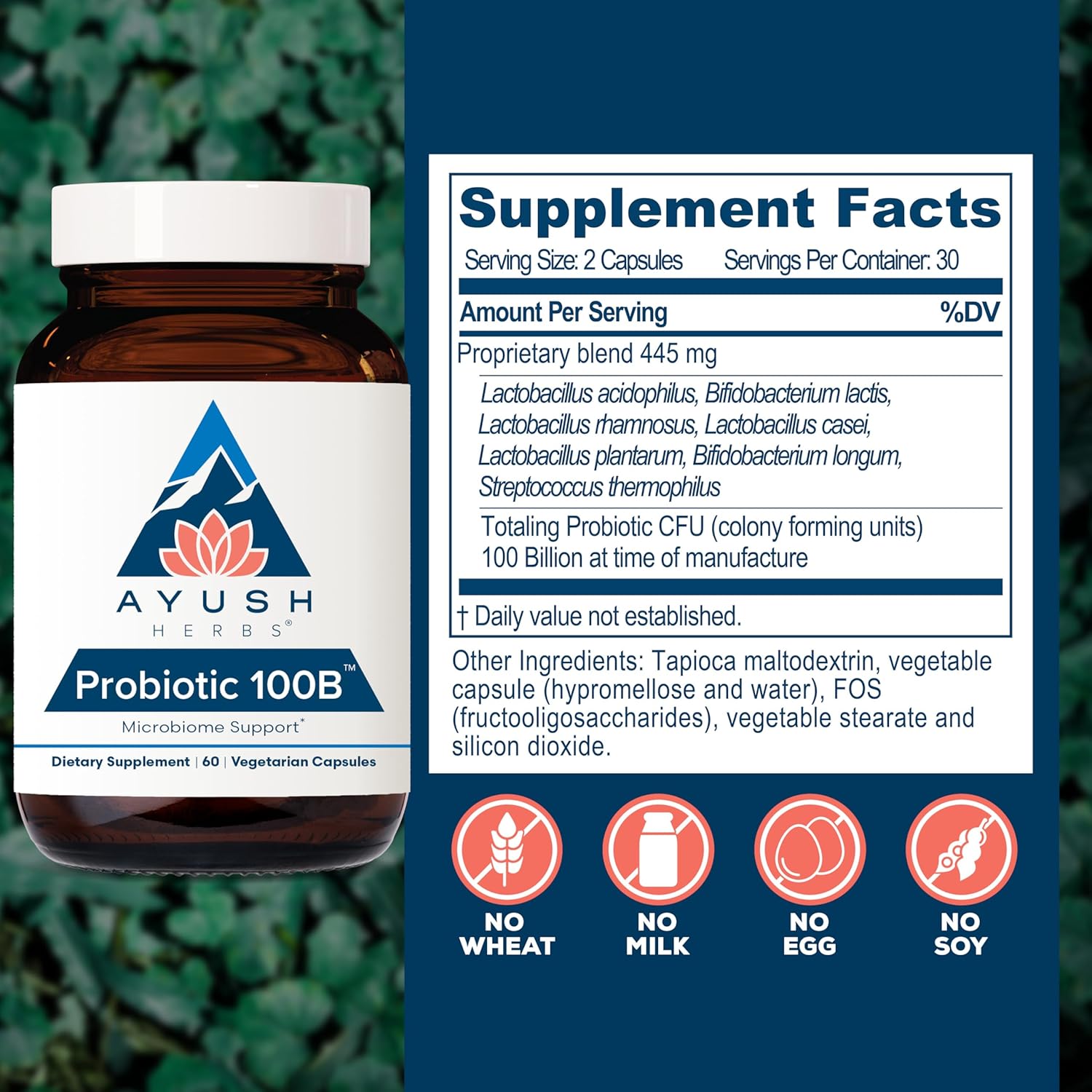 Ayush Herbs Probiotic 100B - Probiotics for Women, Probiotics for Men, Prebiotics and Probiotics for Digestive Health, Gas Relief, Gut Microbiome Balance - 60 Vegetarian Capsules (1 Count) Nirvana Guru