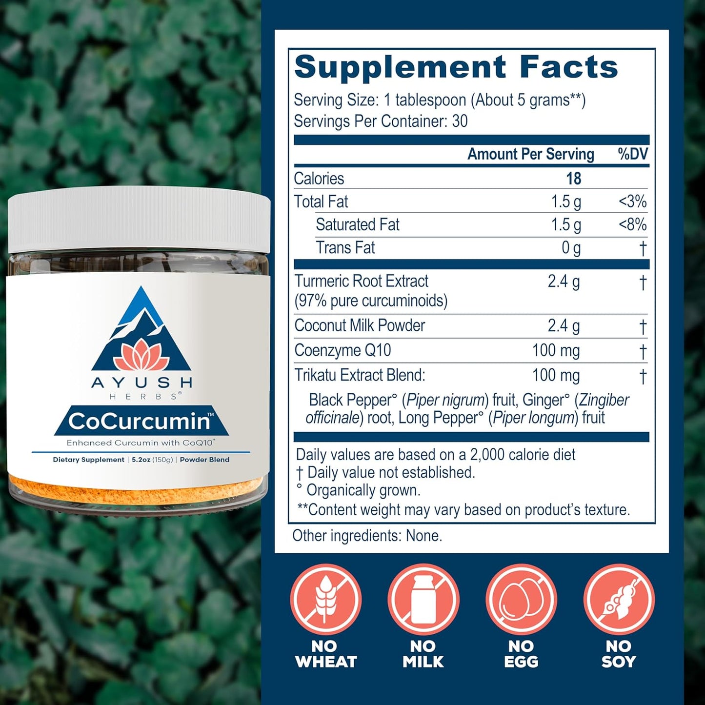 Ayush Herbs CoCurcumin - Turmeric Powder, Curcumin Powder with Black Pepper, CoQ10, MCT Oil for Glowing Skin, Joint, Muscle, and Gut Health - 4.2 Oz Jar (30 Servings) Nirvana Guru