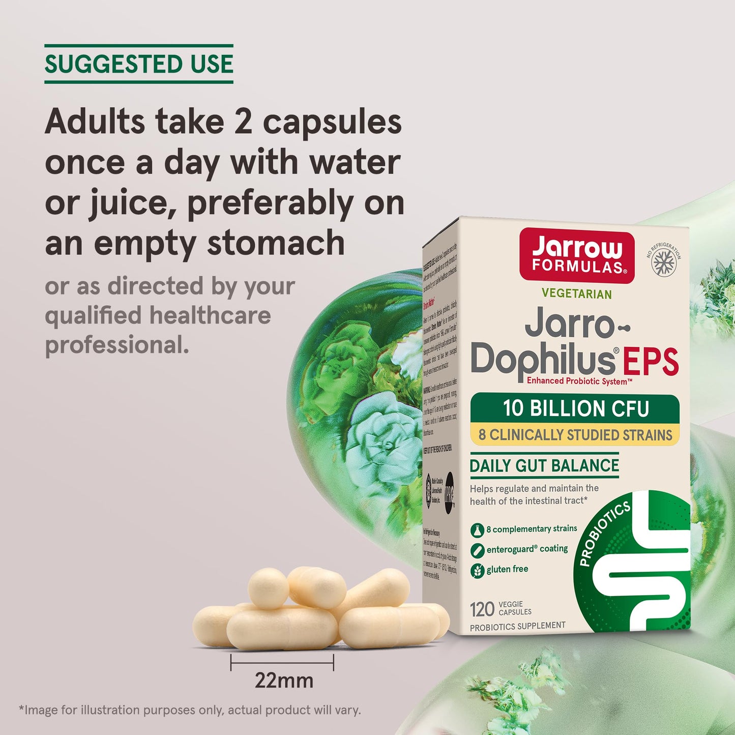 Jarrow Formulas Probiotics 10 Billion CFU - Probiotic Supplement Capsules for Gut Health for Women and Men, 120 Veggie Capsules, Up to 60 Days - Nirvana Guru